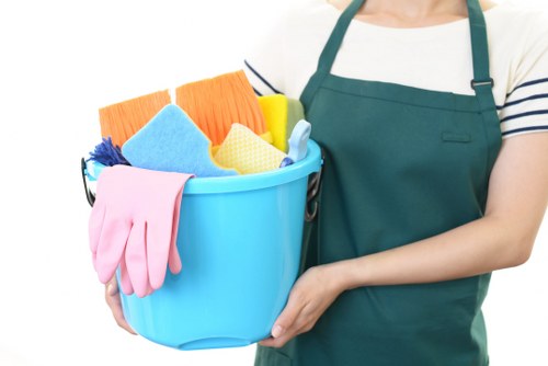 Professional carpet cleaning service in a Croydon home