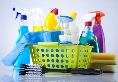 Domestic cleaning services for Croydon homes