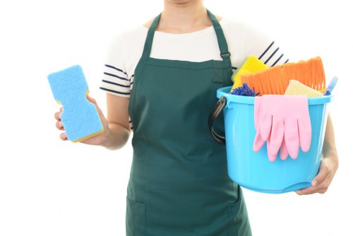 Website cookies and browser data for Croydon Carpet Cleaners