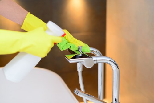 Professional cleaner in Croydon working in a modern home