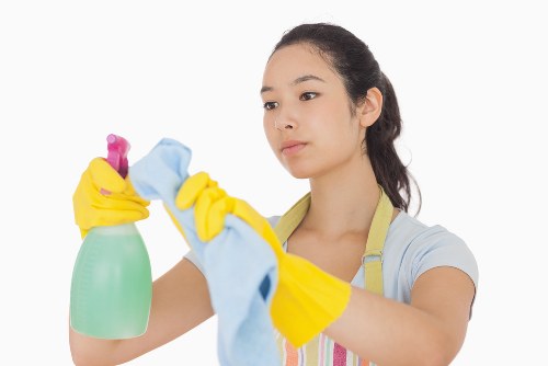 Croydon home deep cleaning with attention to hidden dirt