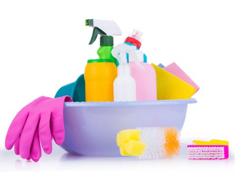 Detail of a carpet cleaning service being arranged for a customer booking