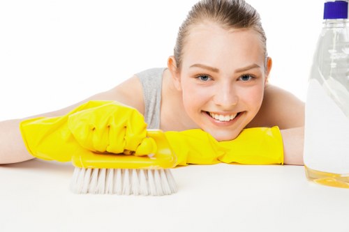 Professional cleaning company in Croydon for homes and offices