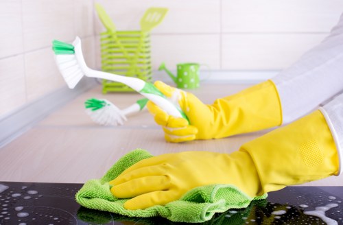 Local Croydon cleaner performing deep cleaning tasks in a home