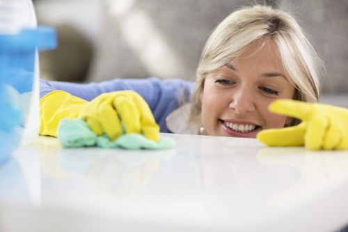 Domestic and deep cleaning services in Croydon