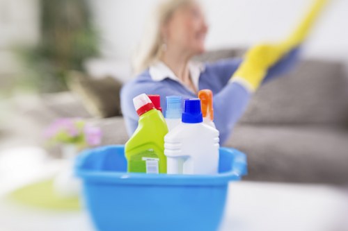Deep carpet cleaning equipment in a Croydon home