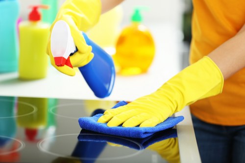 Professional cleaning machine and safety precautions during carpet cleaning