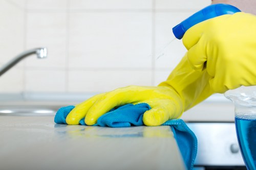 Cleaner in Croydon carrying out deep cleaning tasks