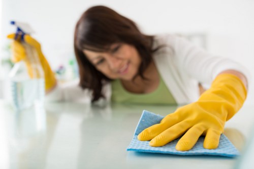 Local carpet cleaning team assessing carpet fibres and stain treatment needs