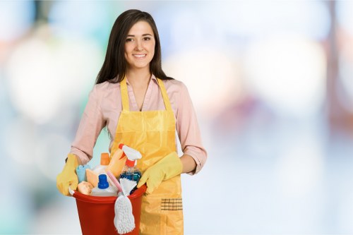 Professional post construction cleaning in a renovated Croydon property