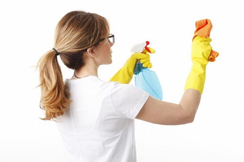 About us page for Croydon Carpet Cleaners highlighting quality and local service