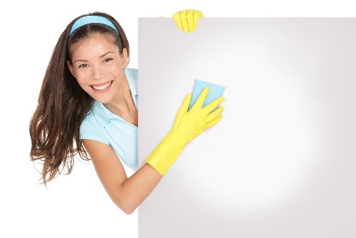 Cleaner reviewing service limits and property safety before treatment begins