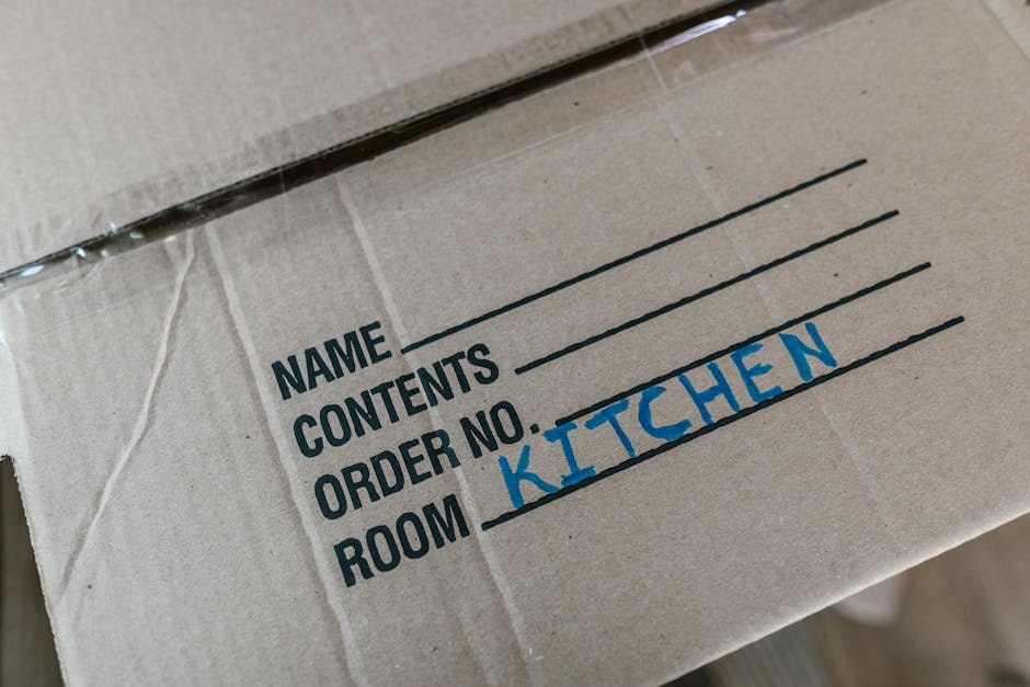 A professional cleaner from Croydon Carpet Cleaners, wearing a navy blue uniform, is inspecting a checklist on a clipboard in a room filled with cardboard boxes, likely during a tenancy or move-out cl